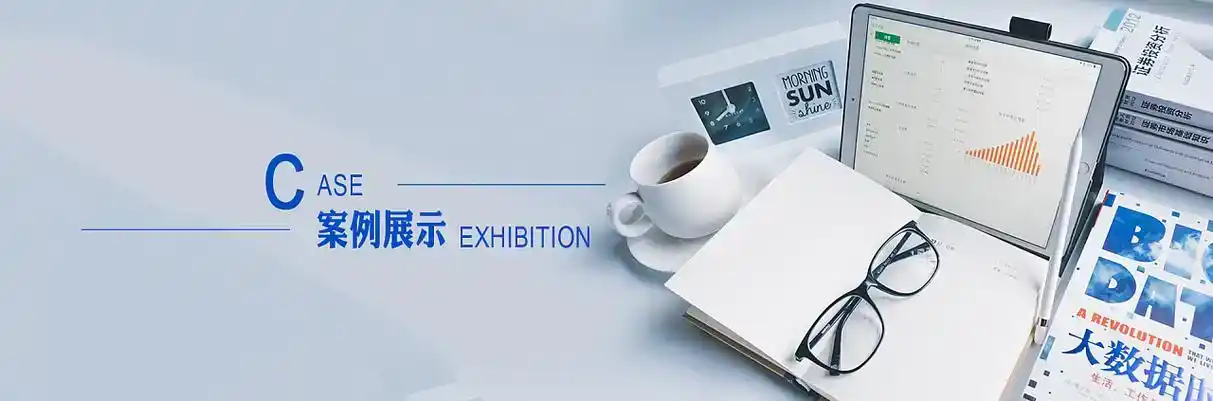 和布克赛尔蒙古自治县软件开发